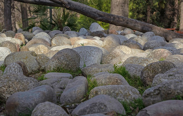 large stones in the forest on the grass against a background of greenery and trunks. Forest background