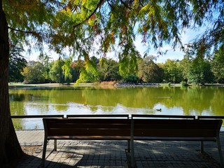 Herbst im Schlosspark Karlsruhe 