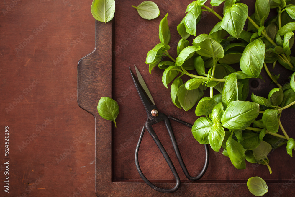 Canvas Prints fresh basil herb on brown background