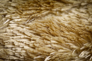 texture de fibre en polyester clair