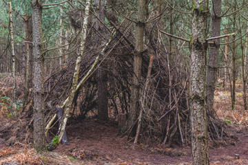 Stick shelter in the forest a wigwam style hut or den made by kids playing outside