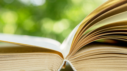Fototapeta premium Open book on a wooden table in a garden. Sunny summer day, reading in a vacation concept