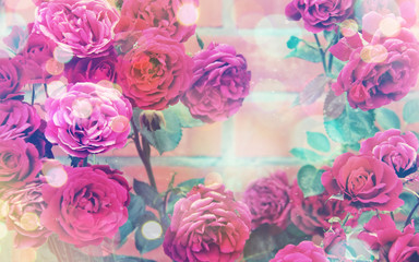 Beautiful floral background with pink roses
