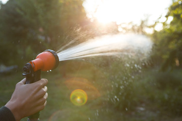 Watering a plants gardening care concept, watering hose in a hand on garden background