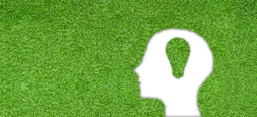 Ecology and Environment Concept : Artificial green grass in light bulb shape glowing in brain.