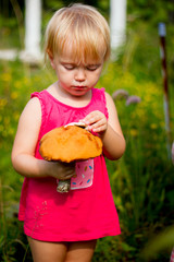 Cute toddler girl exploring mushrooms boletus on a sunny summer day