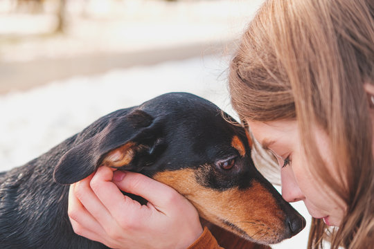 Loving and adoring dogs: woman with her puppy. Young female and dachshund bonding and hugging at a walk outdoors