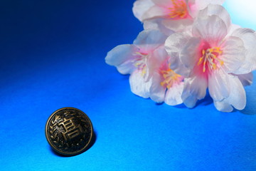 桜と第二ボタン