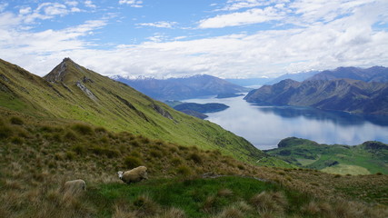 Lake Wanaka Bergbesteigung mit Blick auf den See 