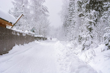 Rural winter landscape.