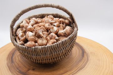 basket with fresh forest mushrooms