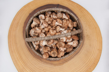 basket with fresh forest mushrooms