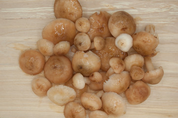 boiled fresh forest autumn mushrooms