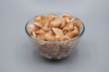 boiled fresh forest autumn mushrooms