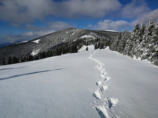 Fototapeta na wymiar Zimowa sceneria w niskich Tatrach na Słowacji