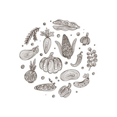 Hand Drawn Doodle Black and white Vegetable icons with spiral pattern Vector Set. Abstract striped different veggies.