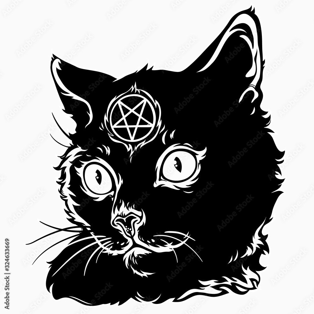 Wall mural black magic cat with a pentagram