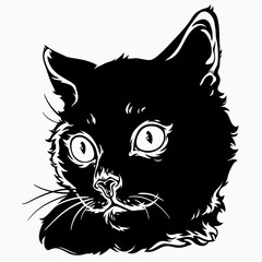 portrait of a cute black cat