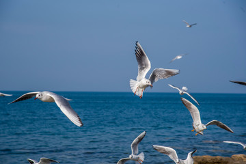 Beautiful Spring Landscape