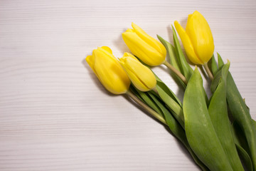 Naklejka premium Flower tulip on white wooden background. Bouquet of the yellow tulip flowers. Valentines day concept, woman's day. 