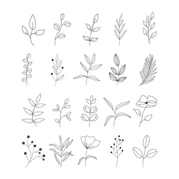 Set hand drawn outline leaves. Black line doodle floral for invitations, greeting cards, banners.