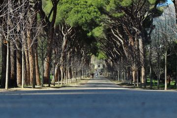 Paseo 