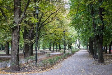 Fototapeta premium Park Mirowski in Warsaw, Poland