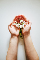 Fashion hand art snowdrops natural cosmetics women, white beautiful snowdrop flowers hand, hand care. Creative beauty photo girl sitting at table, contrasting background