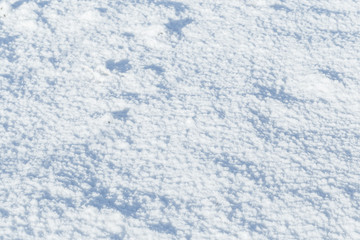 Texture of natural snow. Top view of the snow.