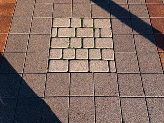 Fototapeta premium Paving slabs on a footpath in the city on a sunny morning with a shadow from the trees.