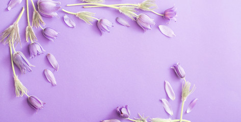 banner of purple flowers on paper background