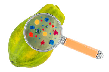 Papaya with germs, microbes or viruses under magnifying glass, 3D rendering
