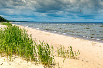 Coastal Baltic landscape, summer day at the Riga gulf, Jurmala tourist resort