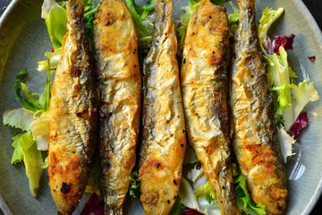 Grilled fish in a gray plate. Small fried fish and salad dressing. Close-up.