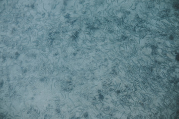 Little fishes swimming in the ocean