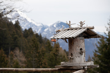 Wooden Bird house in the mountains