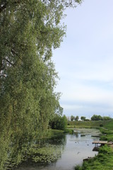 landscape with river and trees