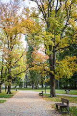 Autumn in Pole Mokotowskie Park, Warsaw, Poland