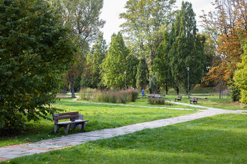 Fototapeta na wymiar Autumn in Pole Mokotowskie Park, Warsaw, Poland