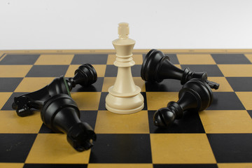 White king won black figures on the chessboard