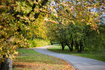 Naklejka premium Autumn in Pole Mokotowskie Park, Warsaw, Poland