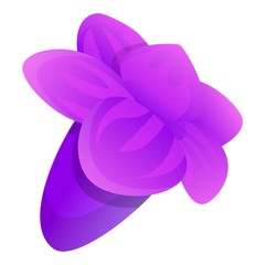 Violet lilac flower icon. Cartoon of violet lilac flower vector icon for web design isolated on white background