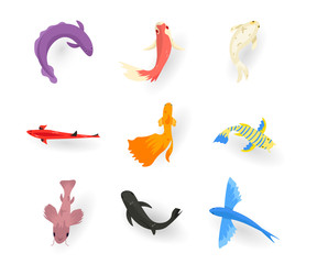 Exotic fish flat vector illustrations set