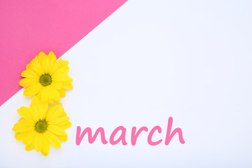 Text 8 March with chrysanthemum flowers on paper background