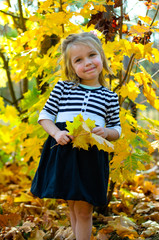 Girl in the autumn forest. Sunny, bright day.