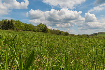 Obraz premium springtime Velka Fatra mountains in Slovakia with mountain meadows, forest and blue sky with clouds