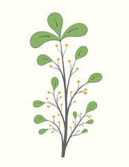 Branch with green leaves and berries on a light background