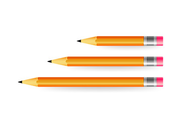 Pencils various length on white background. Variations of pencils. Vector illustration.