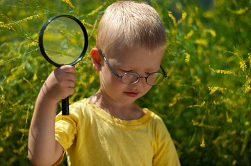 Portrait of charming boy in yellow T-shirt and glasses against background of green flowering bush. child examines flowers through magnifying glass. Spring floral background. soft lens