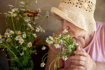 Elderly woman with bouquet of medical daisies in pink T-shirt and hat. Pensioner engaged in...